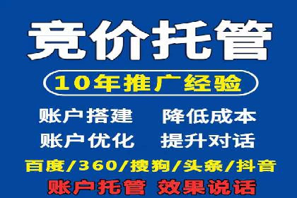 百度竞价广告成功案例：如何实现ROI最大化